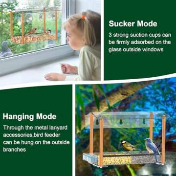 Unique HHXRISE Bird Feeder with Suction Cups for Bird Watching