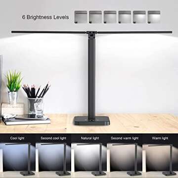 Mostorlit Double Head Led Desk Lamp, Eye Caring Double Swing Arm Table Lamps, USB Powered Reading Light, Lamp with 5 Steps Dimming and 5 Colors for Home, Office, Bedroom, Dormitory/Black