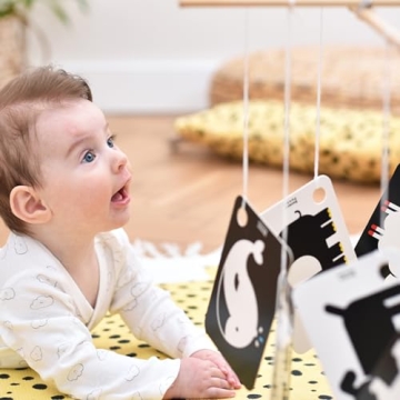 Banana Panda High Contrast Baby Flash Cards - 10 Large Black and White Double-Sided Cards - Designed to Promote Visual Stimulation and Sensory Development in Infants Ages 3 Months and Up