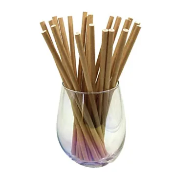 GDMINLO Biodegradable Paper Straws for Eco-Friendly Parties