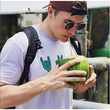 GDMINLO Biodegradable Paper Straws for Eco-Friendly Parties