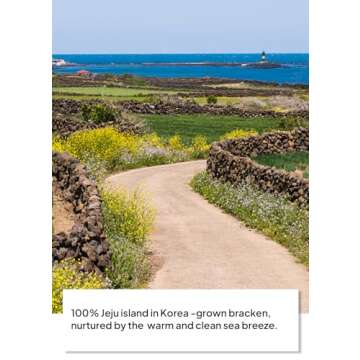 Experience Authentic Korean Flavors with Jeju Dried Bracken (Gosari) 100% Natural, Vegan Superfood