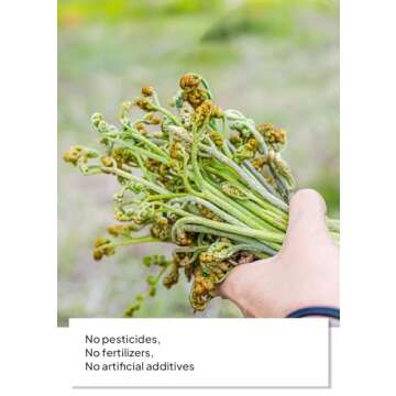 Authentic Jeju Dried Bracken for Korean Recipes