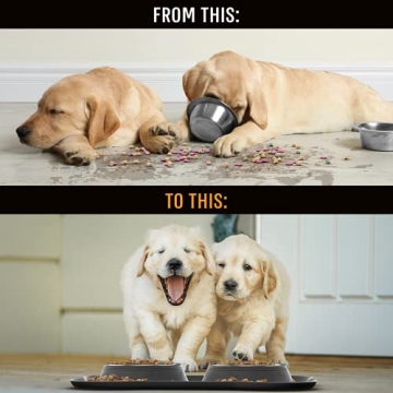 Active Pets Dog Bowl Set for No Mess Feeding