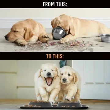 Active Pets Dog Bowl Set for No Mess Feeding