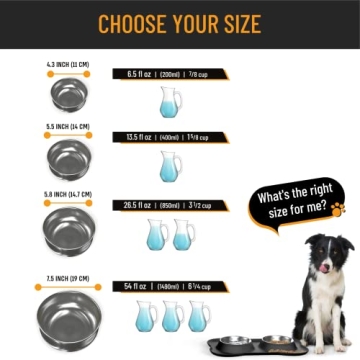 Active Pets Dog Bowl Set for No Mess Feeding