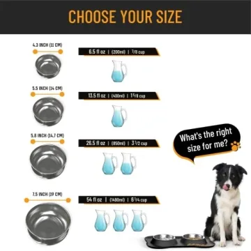 Active Pets Dog Bowl Set for No Mess Feeding