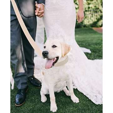 Ewinoom Soft Corduroy Dog Collar & Leash Set for Medium Dogs