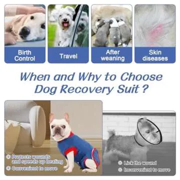 DOGLEMI Recovery Suit for Dogs Soft Comfortable Healing Wear