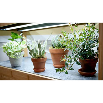 Bamboo LED Grow Light Plant Stand for Optimal Growth