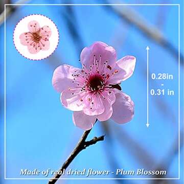 Dried Pressed Flowers for Resin, 60PCS Pink Real Pressed Dried Little Plum Blossom Flower with Force...