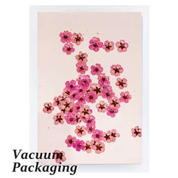 Dried Pressed Flowers for Resin, 60PCS Pink Real Pressed Dried Little Plum Blossom Flower with Forceps for Scrapbooking DIY Candle Decor Jewelry Soap Pendant Crafts Making