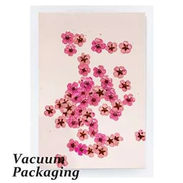 Dried Pressed Flowers for Resin, 60PCS Pink Real Pressed Dried Little Plum Blossom Flower with Forceps for Scrapbooking DIY Candle Decor Jewelry Soap Pendant Crafts Making