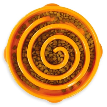 Outward Hound Fun Feeder Slo Bowl for Large Dogs