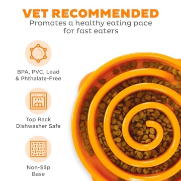 Outward Hound Fun Feeder Slo Bowl for Large Dogs