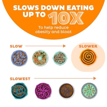 Outward Hound Fun Feeder Slo Bowl for Large Dogs