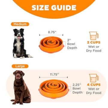 Outward Hound Fun Feeder Slo Bowl for Large Dogs
