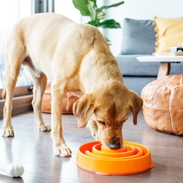 Outward Hound Fun Feeder Slo Bowl for Large Dogs