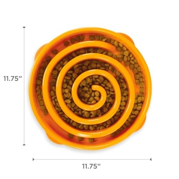 Outward Hound Fun Feeder Slo Bowl for Large Dogs