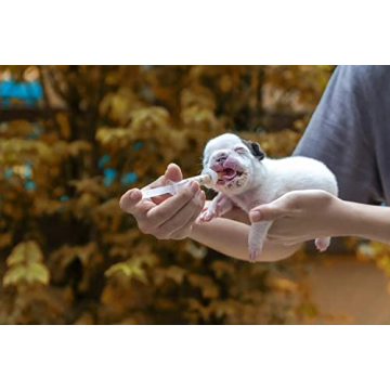 Precision 30 Pack Plastic Syringe for Arts and Crafts