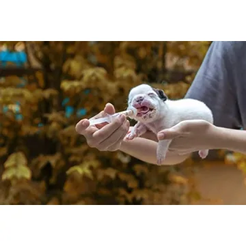 Precision 30 Pack Plastic Syringe for Arts and Crafts