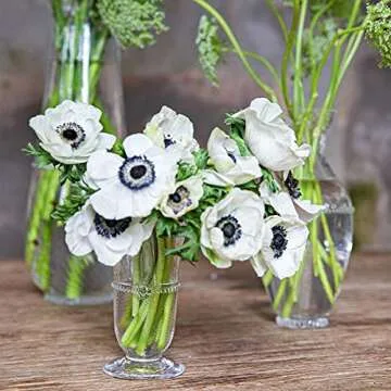 Juliska Graham Posey Vase - Elegant Handcrafted Glass Hues