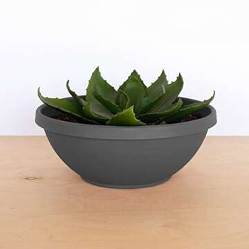 Bloem Terra Plant Bowl Planter 14" - Charcoal