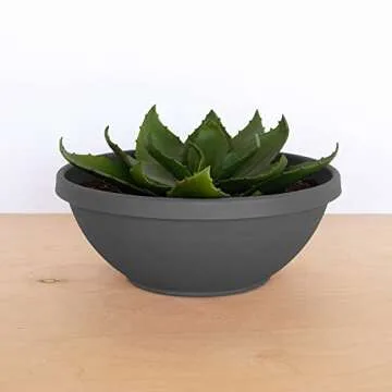 Bloem Terra Plant Bowl Planter 14" - Durable & Versatile