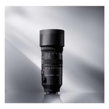 70-200mm F2.8 DG DN OS for Sony