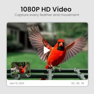 Smart Bird Feeder with Camera for Bird Lovers Worldwide