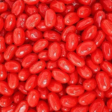 SweetGourmet Jumbo Cinnamon Jelly Beans Spicy Candy Bulk