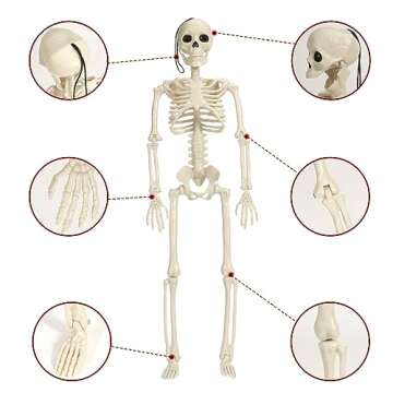 ENVEN Posable Halloween Skeleton 16" Pumpkin Full Body Skeleton Decor with Movable Joints Spooky Plastic Hanging Ghost Skeleton for Yard Garden Lawn Haunted House Graveyard Props (3 Packs)