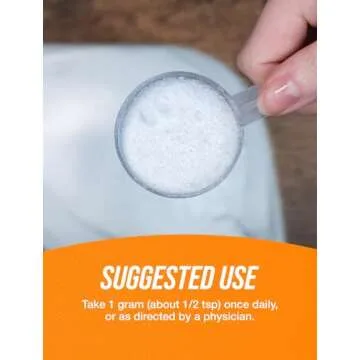 BulkSupplements L-Alanine Powder for Optimal Performance