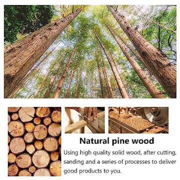 Lexza Bookshelf for Kids: Rotating 2-Tier Organizer