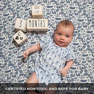 Baby Monthly Milestone Blocks Baby Girls Boy Month Baby Milestone Blocks, Rae Dunn Inspired Age Baby...