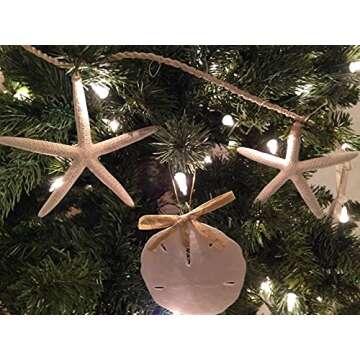 White Sand Dollars 3"-3.5" - Natural Beach Decor Set