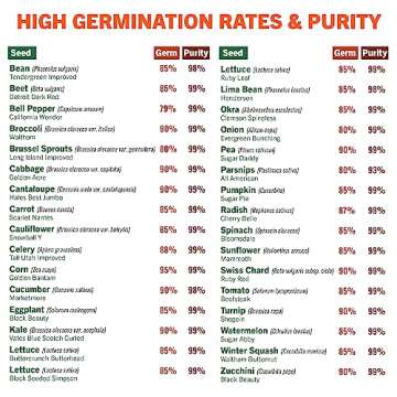 Open Seed Vault 15,000 Non GMO Heirloom Vegetable Seeds for Planting Vegetables and Fruits - 32 Variety Pack of Vegetable Seeds for Gardening, Survival Gear, Seed Vault Emergency Supplies Kit