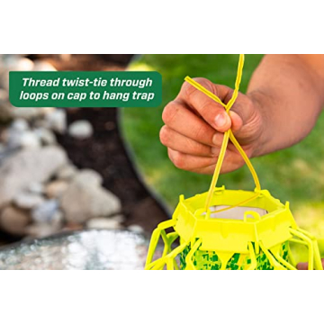 RESCUE! VisiLure TrapStik for Effective Pest Control – 2 Pack