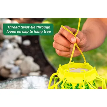 RESCUE! VisiLure TrapStik for Effective Pest Control – 2 Pack