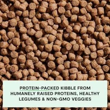 Open Farm, Grain-Free Dry Dog Food, Complete & Balanced Kibble, Sustainably & Ethically Sourced Ingredients, Non-GMO Veggies & Superfoods to Support Overall Health, Grass-Fed Beef Recipe, 22lb Bag