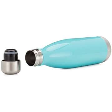 Simple Modern Stainless Steel Vacuum Insulated Double-Walled Wave Bottle, 9oz, rock candy