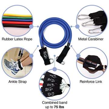 Resistance Bands - Tension Band Set for Weights Exercise, Fitness Workout - Heavy Resistant - Comes with Door Anchor Attachment, Legs, Ankle Straps and Carry Case