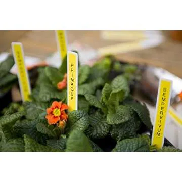 Brother P-Touch Monochrome Label Maker, Versatile Easy-to-Use Labeler, PTD400AD, AC Adapter, QWERTY Keyboard, Multiple Line Labeling, White