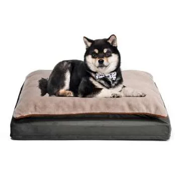 Orthopedic Couch Style Dog Bed - Amazon Basics - Grey