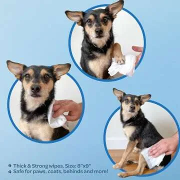Pet Grooming Wipes for Dogs & Cats - Plant-Based Formula