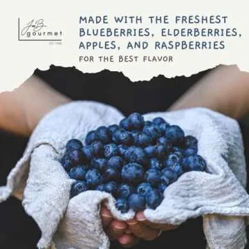 JoeB Gourmet BEAR Jam mixed fruit jelly (2 pack) with blueberry jam, elderberry jam, apple jam, raspberry jam all in one , 18 Ounces each jar