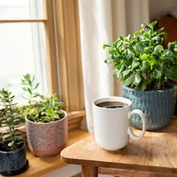 Cameron's Coffee Decaf Vanilla Hazelnut, 10 Ounce Ground