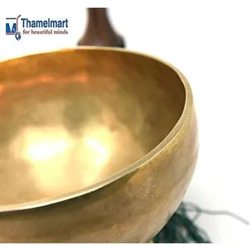 10" Large Master Healing Tibetan Singing Bowl for Meditation