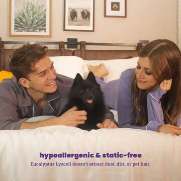 Sheets & Giggles 100% Eucalyptus Lyocell Sheet Set - All-Season, Responsibly Made, Naturally Cooling, Super Soft, Moisture-Wicking, Temperature Balancing, Vegan –King, White