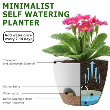 QRRICA Self Watering Plant Pots Set for Easy Gardening